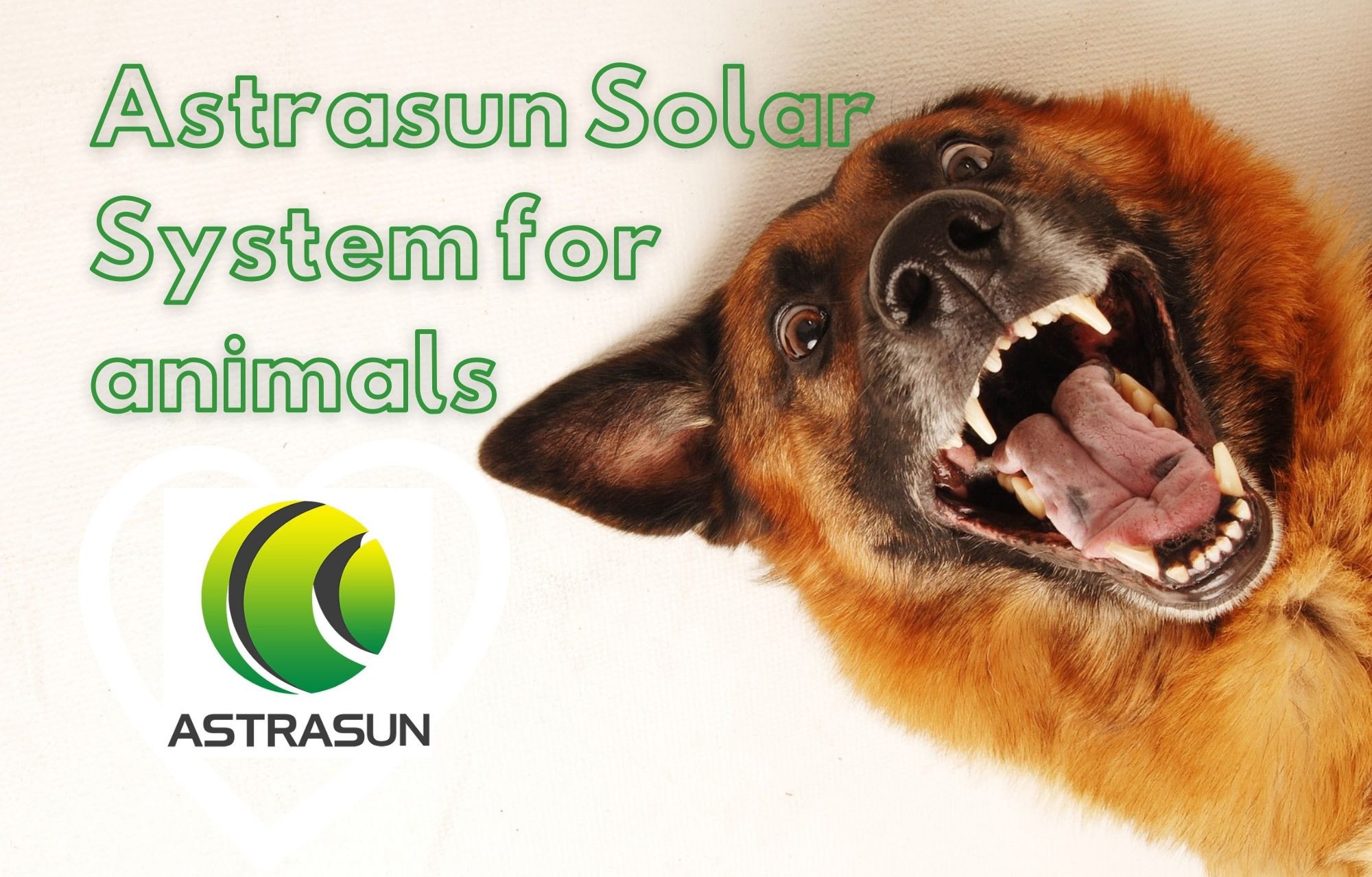 Astrasun for animals