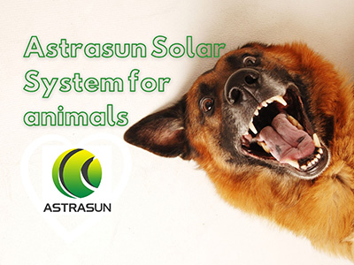 Astrasun for animals